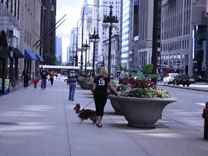 2009 Chicago